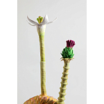 Статуэтка тропический фрукт Pandora Tropical Fruit Orange Two Flowers варинант исполнения - 2 | Loft Concept в Воронеже