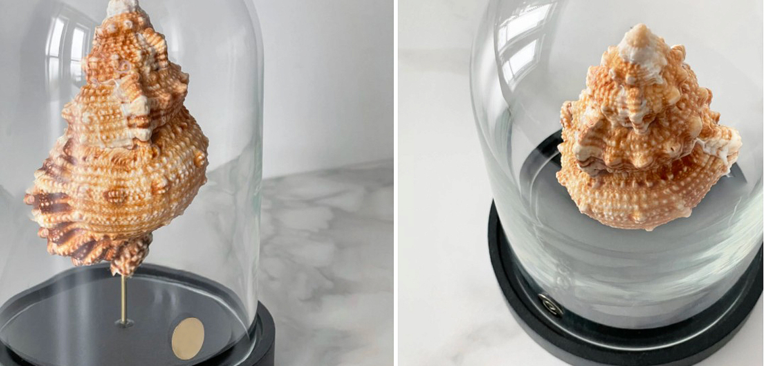 Статуэтка Bursa Rubeta Glass Cloche Статуэтка Bursa Rubeta Glass Cloche - Loft-Concept в Воронеже