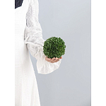 Декоративный искусственное растение Small boxwood варинант исполнения - 3 | Loft Concept в Воронеже