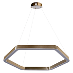 Люстра подвесная светодиодная в форме шестиугольника Диаметр 80 см Hexagon Horizontal варинант исполнения - 1 | Loft Concept в Воронеже
