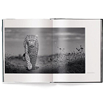 Книга Beusker. Look into my Eyes варинант исполнения - 1 | Loft Concept в Воронеже