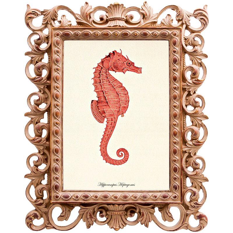 Постер Red Seahorse Poster Бежевый Красный Постер Red Seahorse Poster Бежевый Красный в Воронеже | Loft Concept