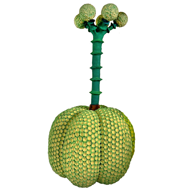 Статуэтка Зеленый тропический фрукт Pandora Tropical Light Green 69 Салатовый Мульти в Воронеже | Loft Concept 