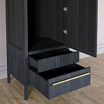 Узкий Шкаф Primo с 2 выдвижными ящиками Черный дуб варинант исполнения - 5 | Loft Concept в Воронеже
