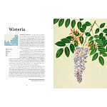 Прекрасно иллюстрированная книга более 100 ботанических произведений Plant Hunters Atlas варинант исполнения - 4 | Loft Concept в Воронеже
