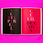 Коллекционный альбом Schiaparelli and the Artists варинант исполнения - 8 | Loft Concept в Воронеже