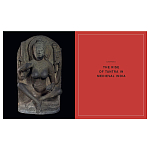 Книга Tantra: Enlightenment to Revolution варинант исполнения - 5 | Loft Concept в Воронеже