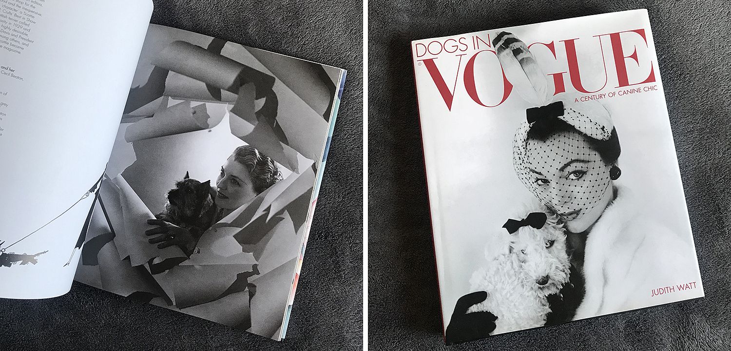 Dogs in Vogue A Century of Canine Chic Dogs in Vogue A Century of Canine Chic - Loft-Concept в Воронеже