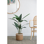 Декоративный искусственное растение Decor Stile  варинант исполнения - 5 | Loft Concept в Воронеже