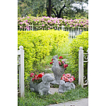 Кашпо The self-confident swan варинант исполнения - 8 | Loft Concept в Воронеже