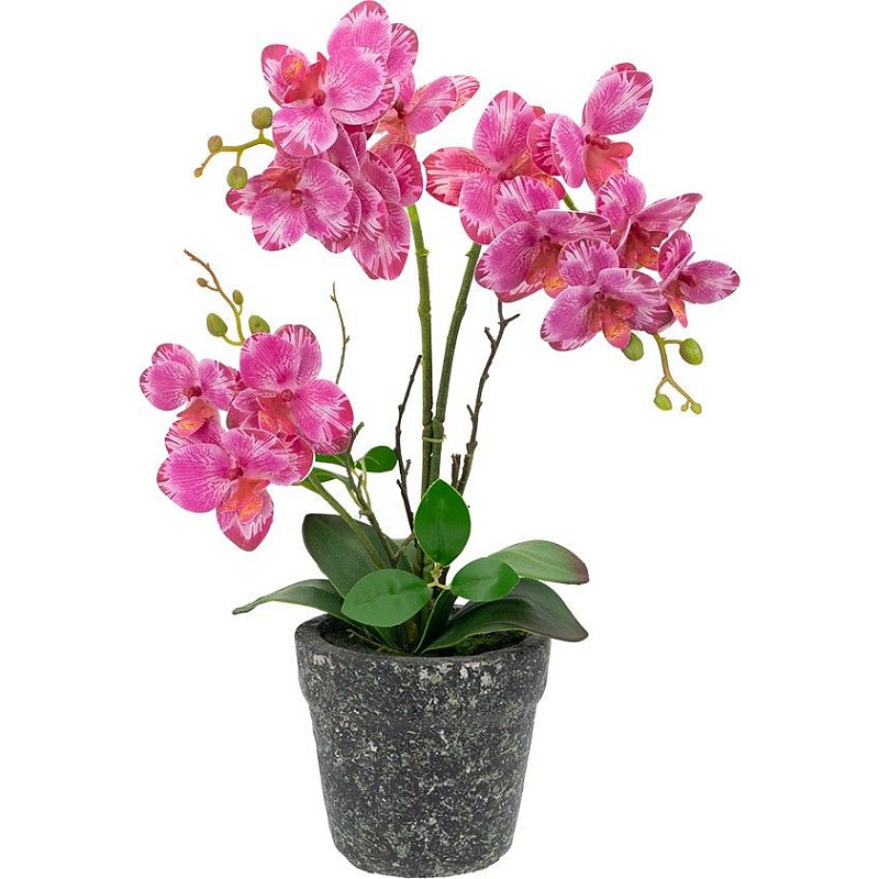 Декоративный искусственное растение Pink orchid Зеленый Черный Розовый Декоративный искусственное растение Pink orchid Зеленый Черный Розовый в Воронеже | Loft Concept